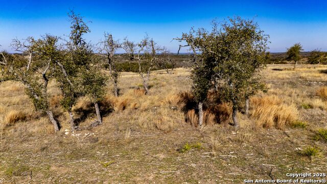 Image 25 of 28 For 0 Badger Ridge