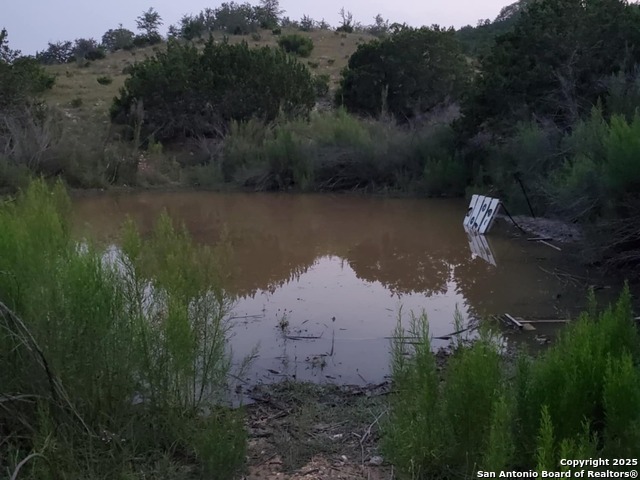 Listing photo id 35 for 3049 Little Creek Rd N