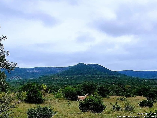 Listing photo id 38 for 3049 Little Creek Rd N