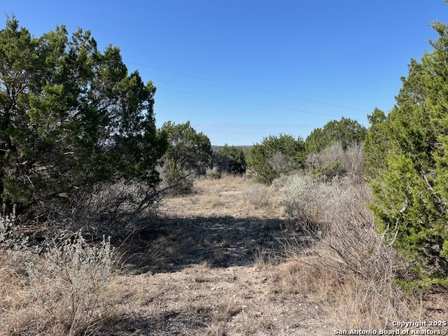 Listing photo id 1 for 65 County Road 407