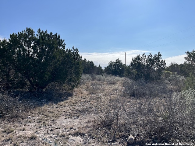 Listing photo id 2 for 65 County Road 407