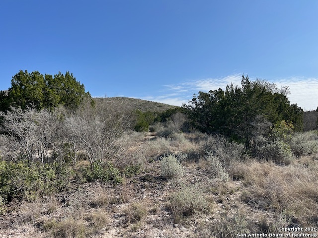 Listing photo id 3 for 65 County Road 407