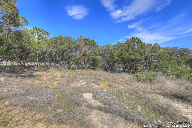 Details for 233 Paradise Hills, New Braunfels, TX 78132