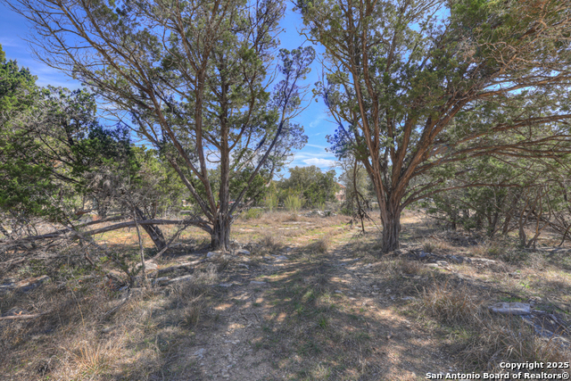 Image 2 of 22 For 233 Paradise Hills