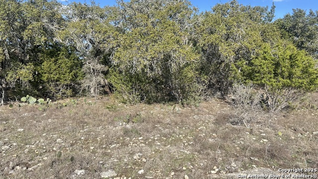 Details for 102 John Bird S, Blanco, TX 78006