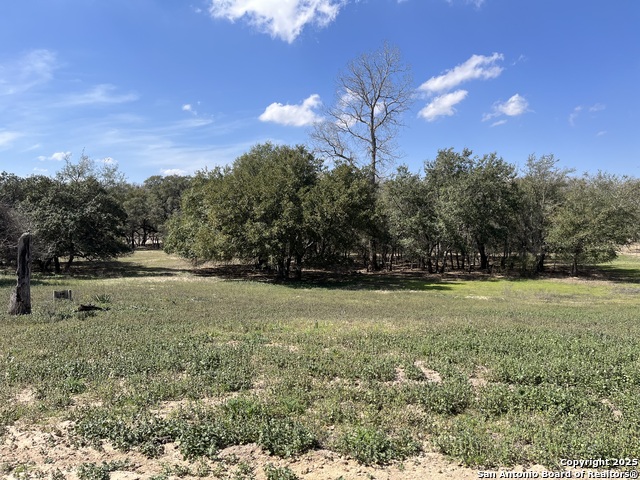 Image 2 of 63 For 142 Lost Springs