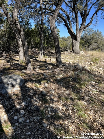 Listing photo id 0 for 43 Woodacre Dr