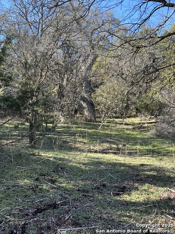 Listing photo id 5 for 43 Woodacre Dr