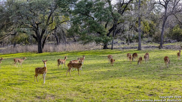 Details for 124 Hoskins Trail, Boerne, TX 78006