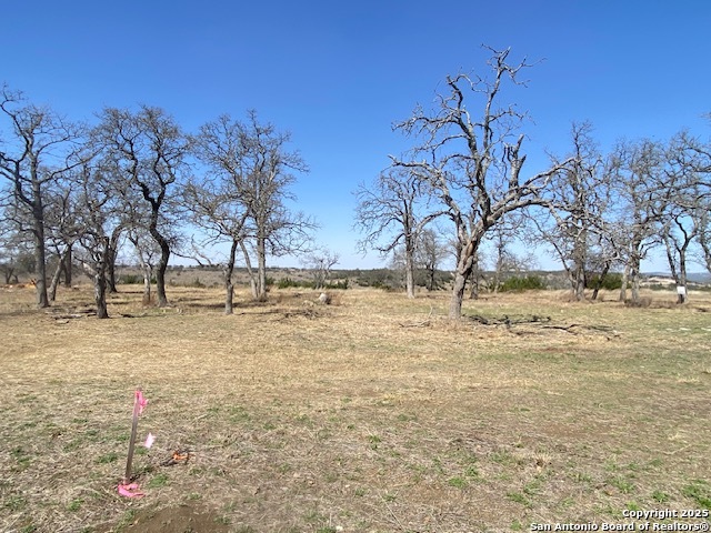 Image 7 of 14 For Lot 207 Majestic Hills