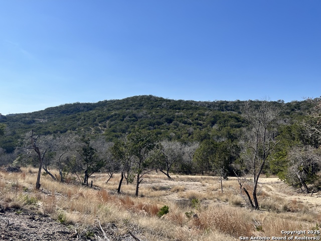 Details for 191 Scott Dr, Center Point, TX 78010