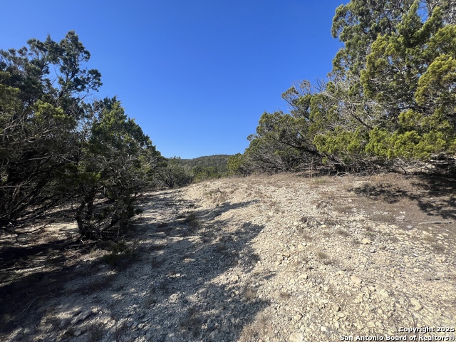 Listing photo id 9 for 191 Scott Dr