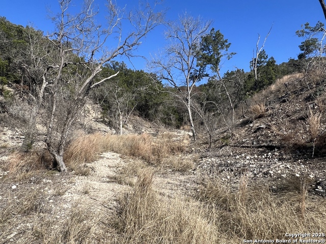 Listing photo id 10 for 191 Scott Dr