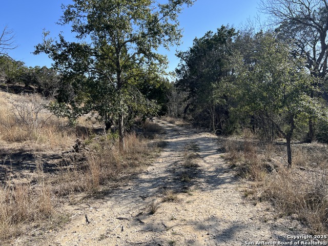 Listing photo id 12 for 191 Scott Dr