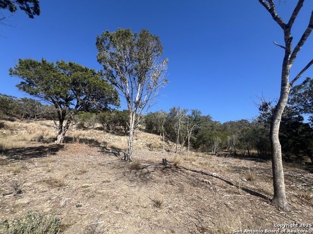 Listing photo id 18 for 191 Scott Dr