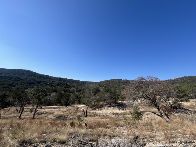 Listing photo id 19 for 191 Scott Dr