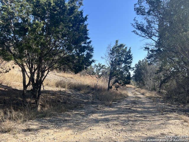 Listing photo id 1 for 191 Scott Dr