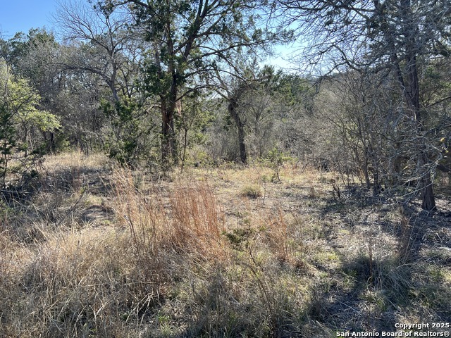 Listing photo id 2 for 191 Scott Dr