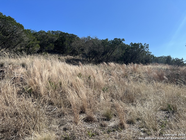 Listing photo id 3 for 191 Scott Dr