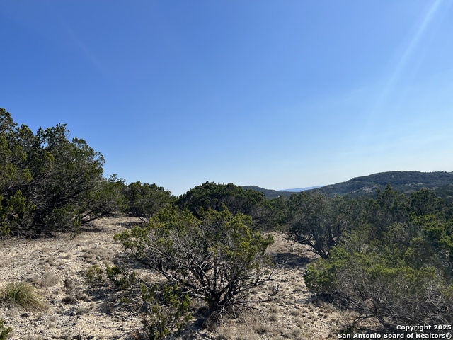 Listing photo id 7 for 191 Scott Dr