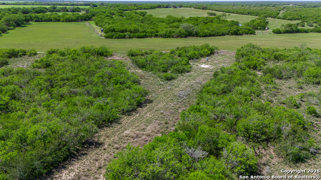 Image 10 of 46 For 4003 Fm 1349