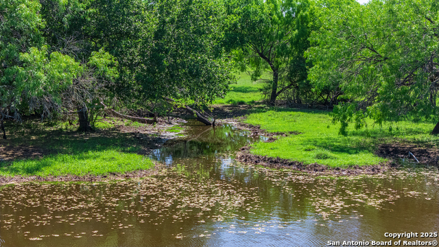 Image 16 of 46 For 4003 Fm 1349