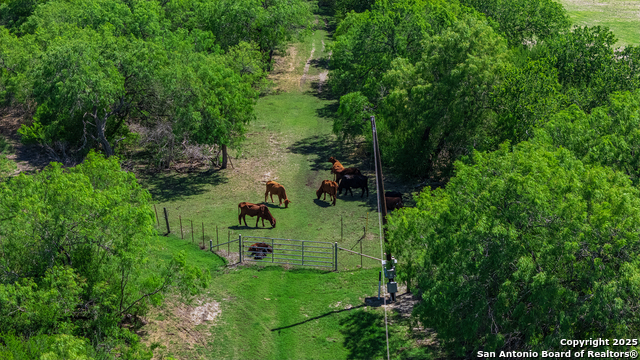 Image 19 of 46 For 4003 Fm 1349