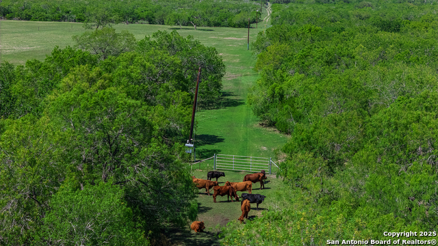 Image 21 of 46 For 4003 Fm 1349