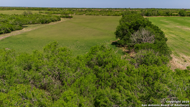 Image 22 of 46 For 4003 Fm 1349