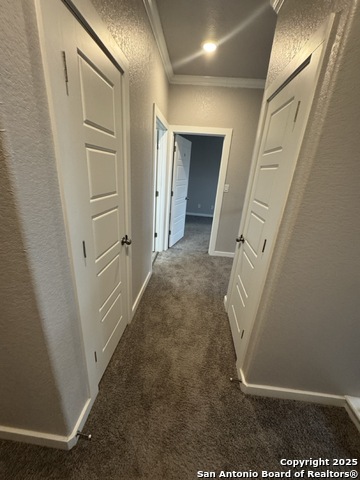 Listing photo id 16 for 6160 Eckhert  Apt 1