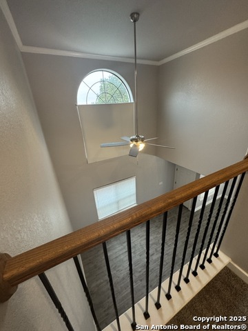 Listing photo id 19 for 6160 Eckhert  Apt 1