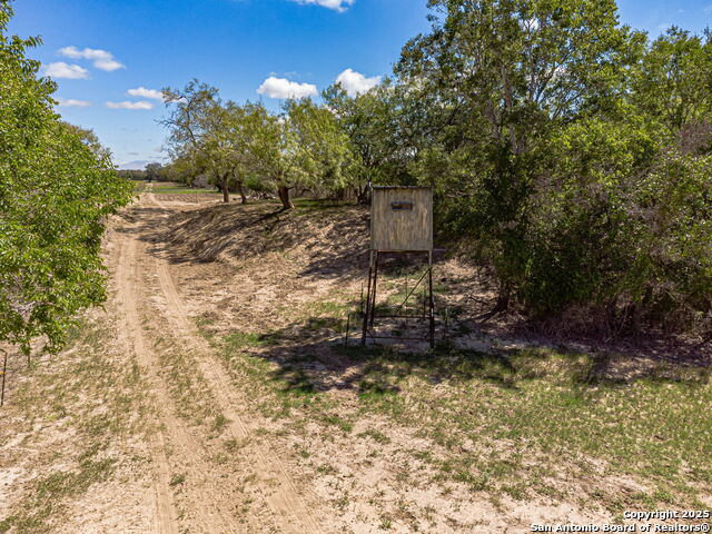 Listing photo id 11 for 2034 County Road 342