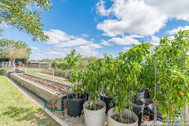 Listing photo id 21 for 2034 County Road 342
