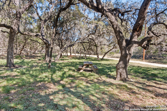Image 18 of 19 For 000 Canyon Oaks Dr.