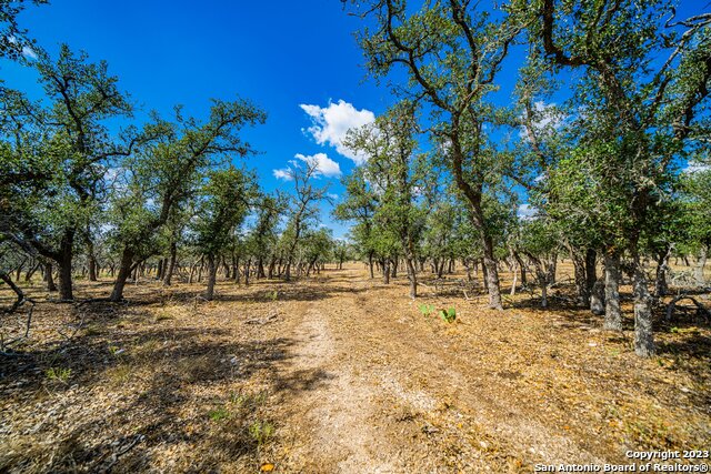 Image 9 of 32 For 436 Stevens Ranch Rd