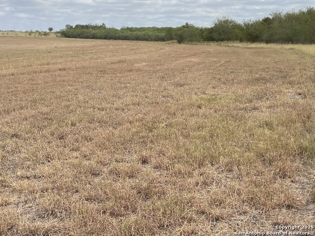 Listing photo id 13 for 12020 Interstate 10