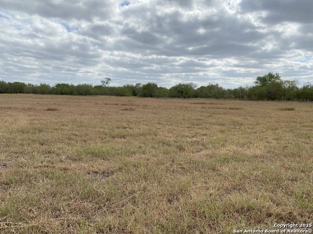Listing photo id 6 for 12020 Interstate 10