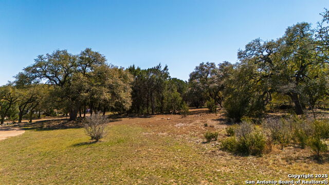 Listing photo id 10 for 117 Covered Bridge Dr