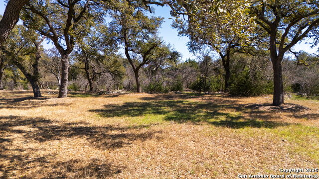 Listing photo id 6 for 117 Covered Bridge Dr