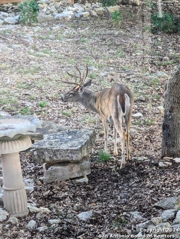 Image 5 of 27 For 809 Lakebreeze Dr