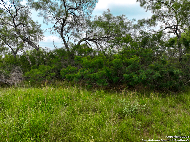 Details for 0000 Count Road 5232, Dhanis, TX 78850
