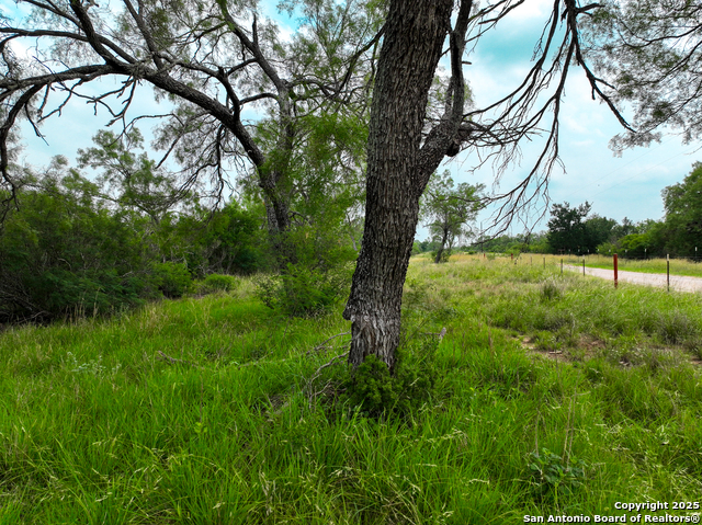 Image 8 of 18 For 0000 Count Road 5232