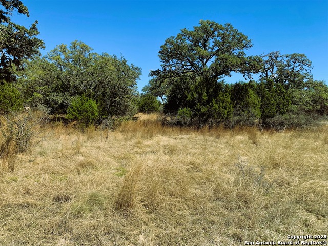 Listing photo id 2 for 443 Arthur Ct