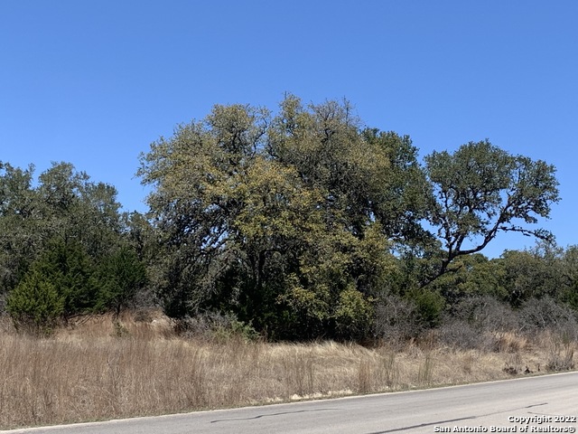 Listing photo id 3 for 443 Arthur Ct