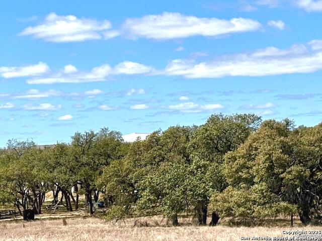 Details for 34739 Shelly Bridge, Bulverde, TX 78163