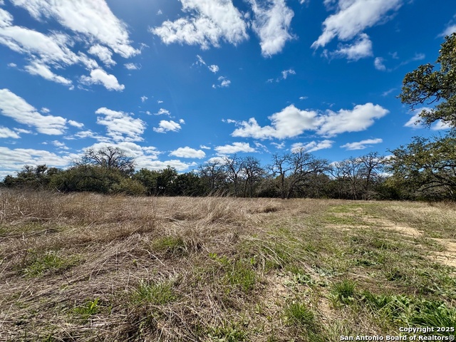Image 10 of 25 For 34739 Shelly Bridge Pt