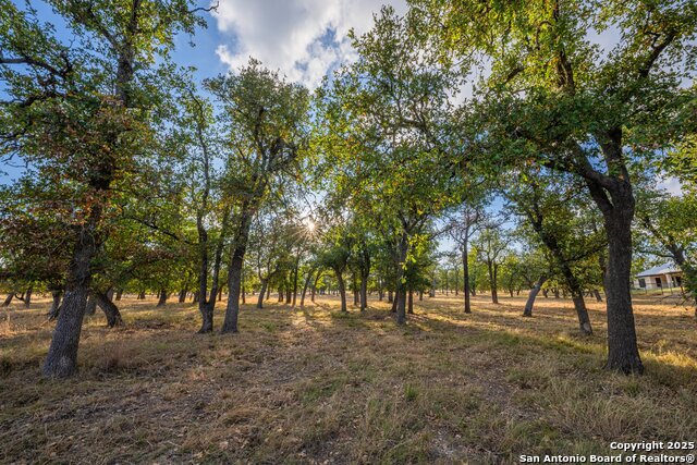 Image 27 of 42 For 1554 Vintage Oaks Dr