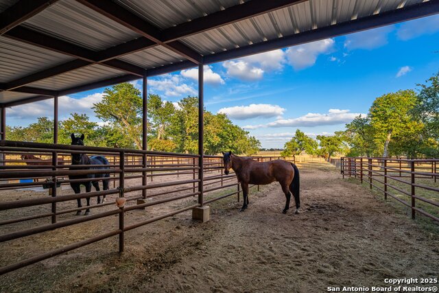 Image 31 of 42 For 1554 Vintage Oaks Dr