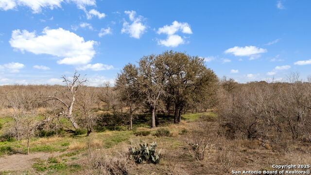 Listing photo id 15 for Tbd County Road 4516