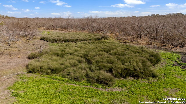 Listing photo id 0 for Tbd County Road 4516